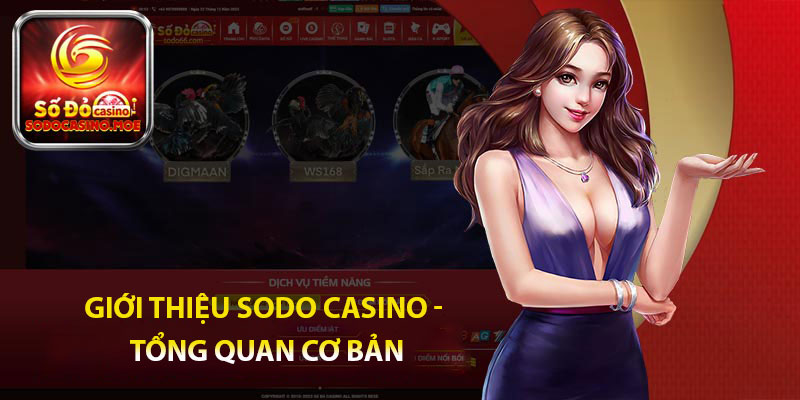 Giới thiệu Sodo casino - Tổng quan cơ bản